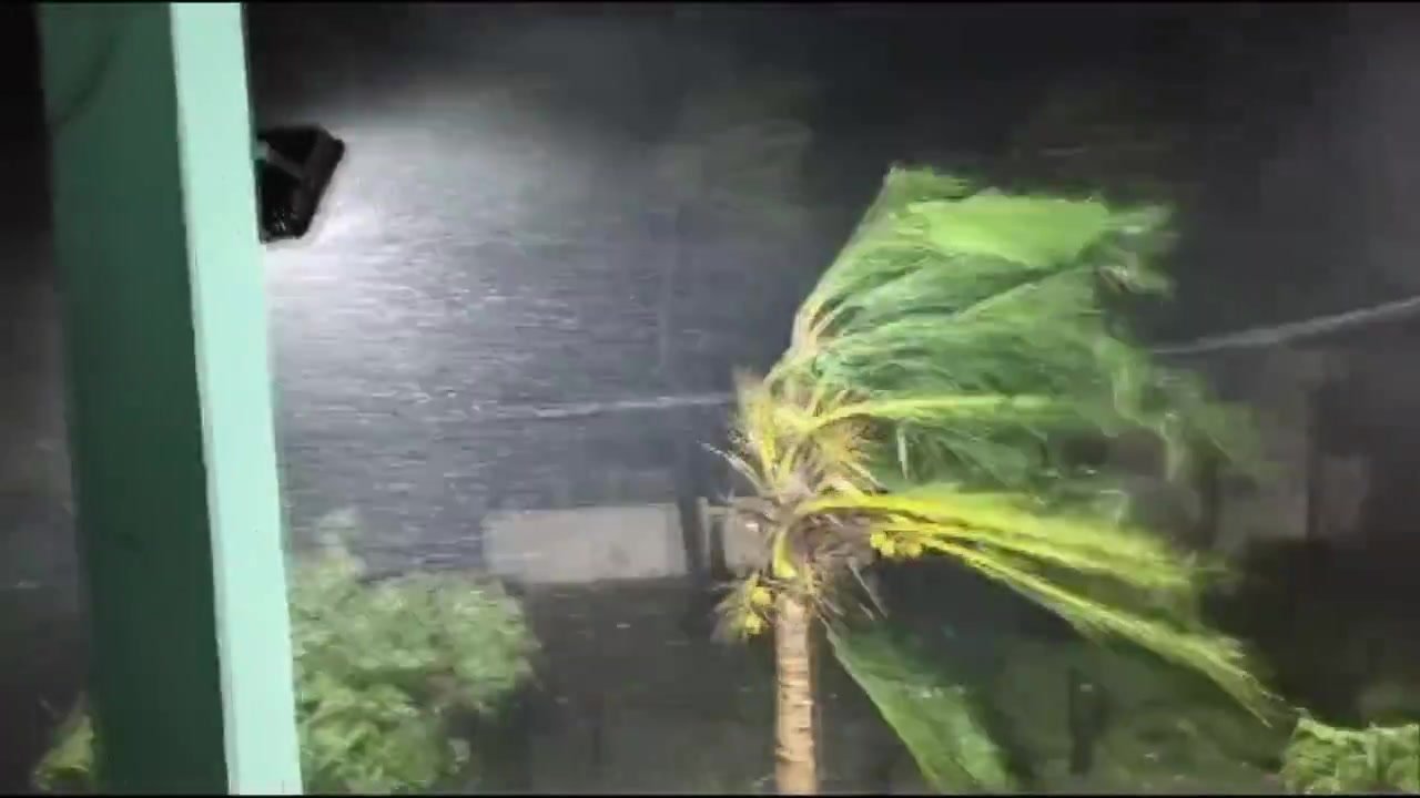Video still posted on X by @bibhutids: a coconut palm bends hard in wind and driving rain at night, seen past a green door frame, with rain sheeting across a wet street and a power line behind the tree, in Amalapuram, Andhra Pradesh, according to the post