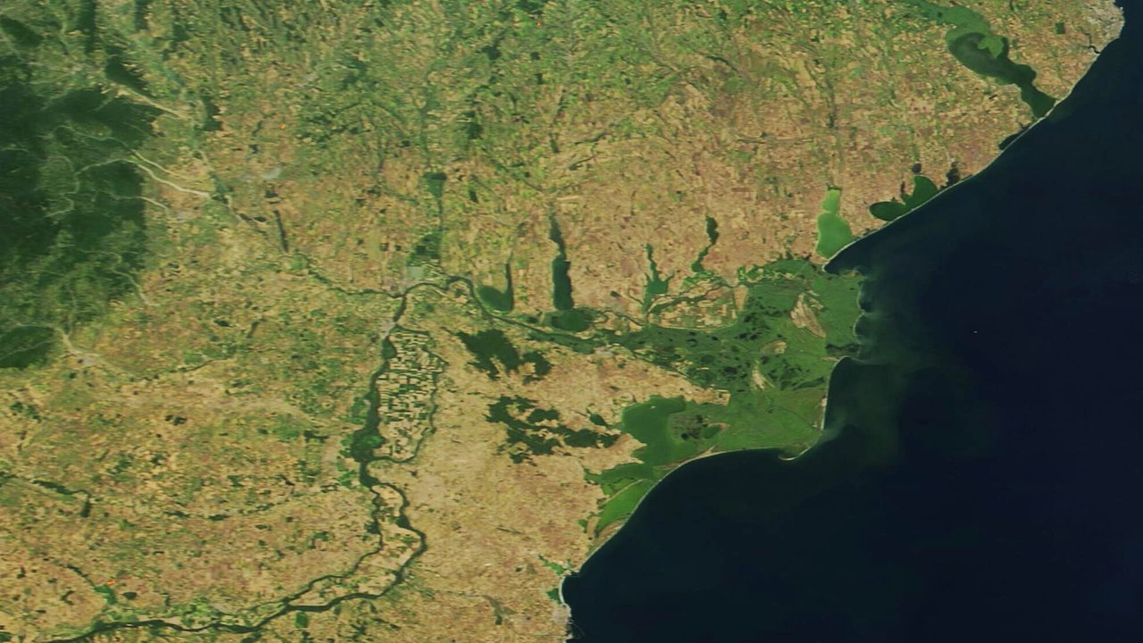 Satellite view of the green Danube Delta meeting the Black Sea along Romania’s coast, with the river’s branches fanning out to the sea, August 17, 2021