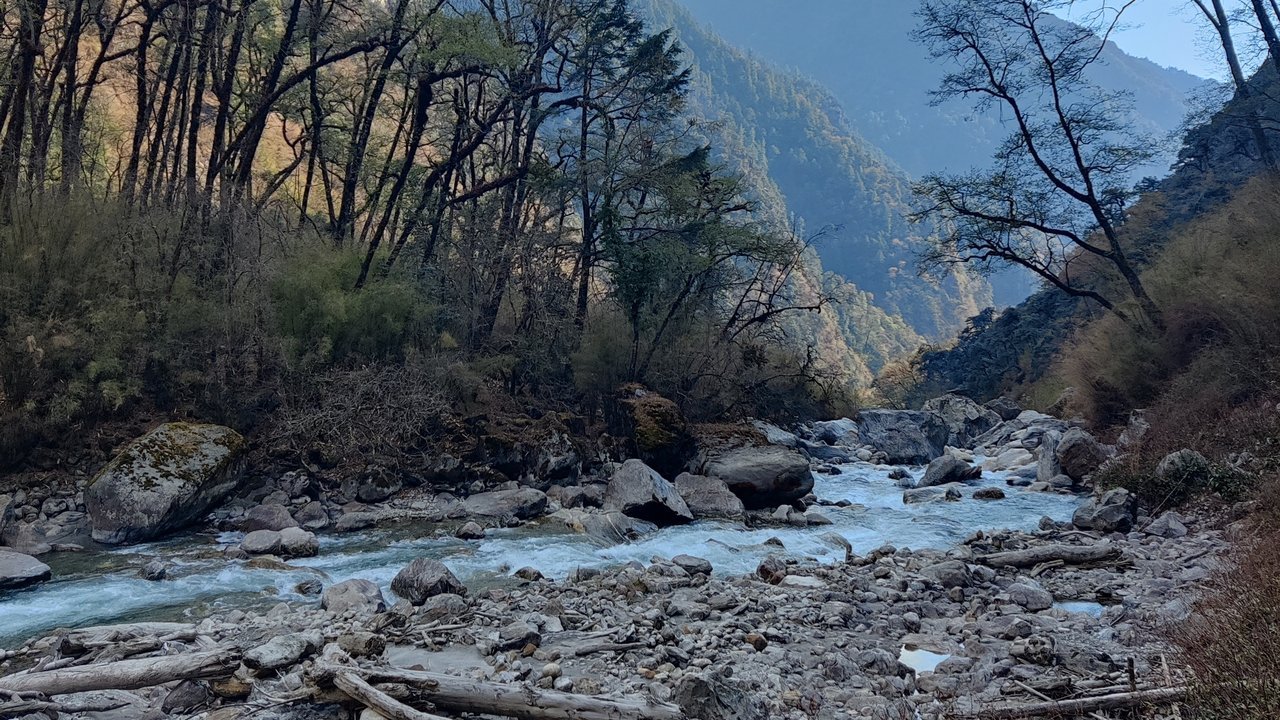 Same area, earlier date, not a photo of this flood: the Langtang Khola, a tributary of the Trishuli River, runs over gray boulders and gravel through a forested mountain valley in Rasuwa district, Nepal, in April 2023