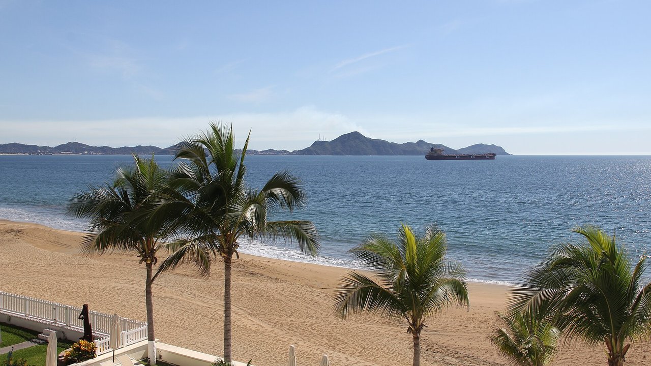 Stand-in, not a photo of this storm: palm trees along a wide sandy beach in Manzanillo, Colima, in January 2013, with a cargo ship on a calm blue bay and hills on the far shore under a mostly clear sky