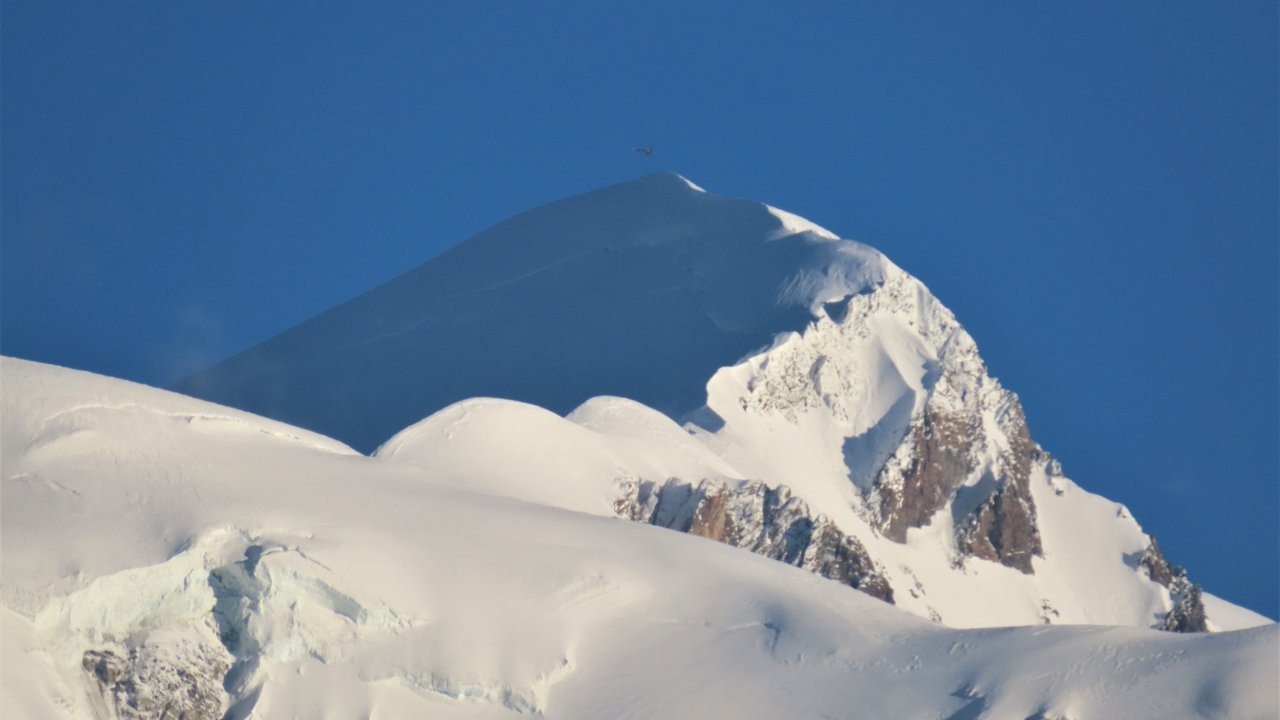 Stand-in, not a photo of this event: the snow-covered summit dome of Mont Blanc against a deep blue sky, with bare rock on its right flank and wide snowfields in the foreground, seen from Combloux in November 2024