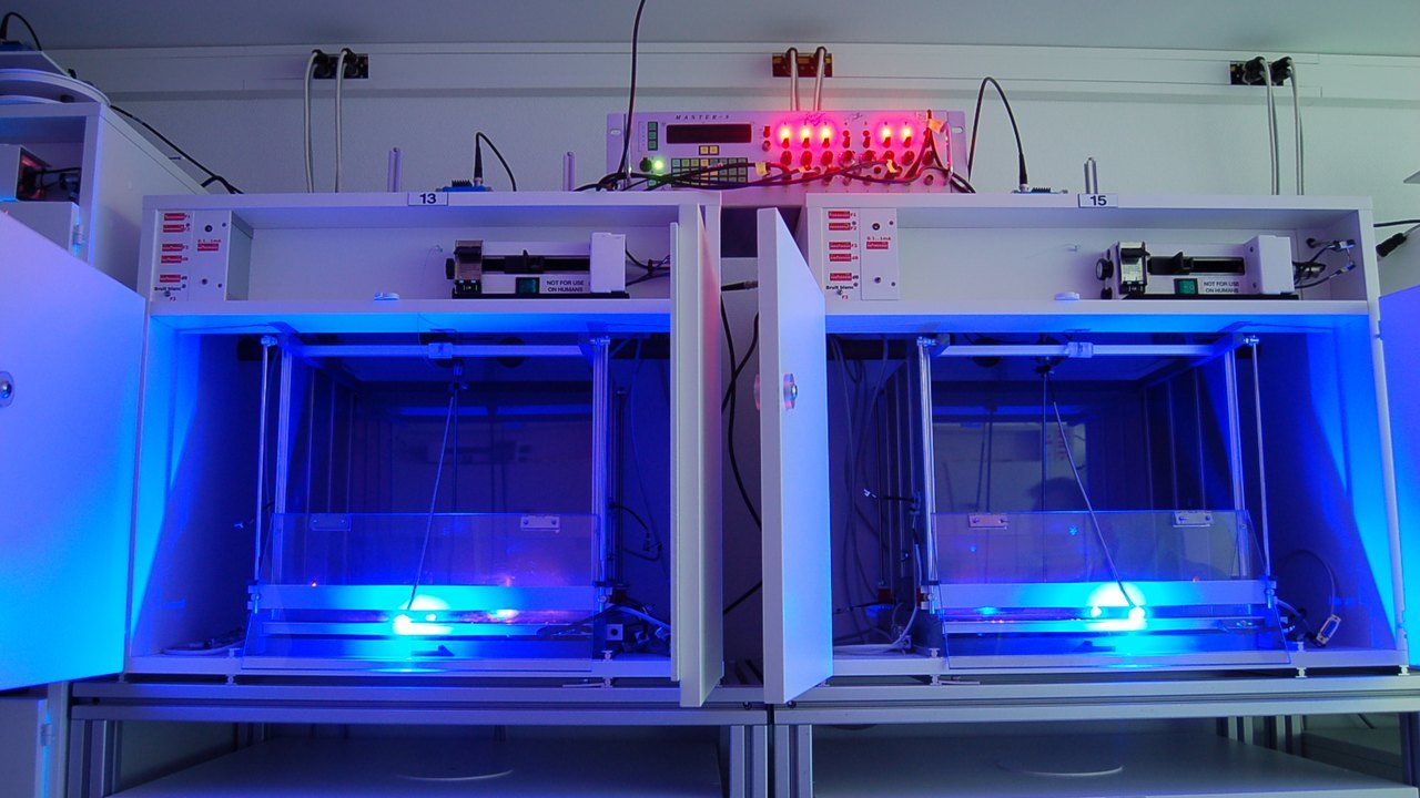 Stand-in: 2015 file photo of optogenetics behavior-testing cages lit by blue LEDs in a research lab, not a photo of the laureates or of Monday’s announcement