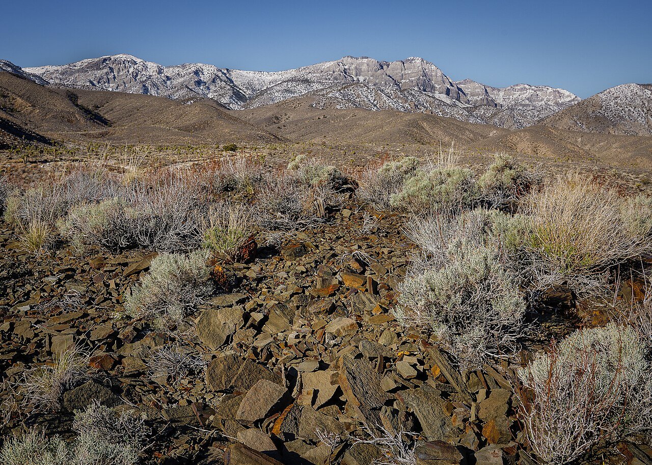 Inyo Mountains Wilderness (49926316313) — free Wikimedia Commons media
